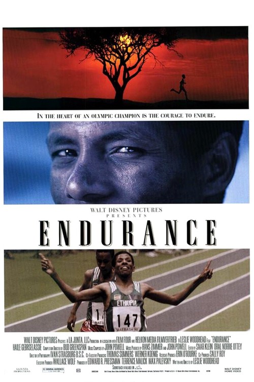 Endurance poster