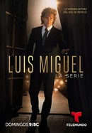Luis Miguel: The Series poster image