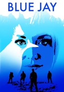 Blue Jay poster image