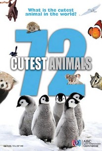 72 Cutest Animals - Rotten Tomatoes