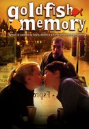 Goldfish Memory poster image