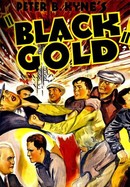 Black Gold poster image