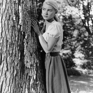 PEYTON PLACE, Hope Lange, 1957. TM & ©20th Century Fox. All rights reserved
