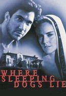Where Sleeping Dogs Lie poster image
