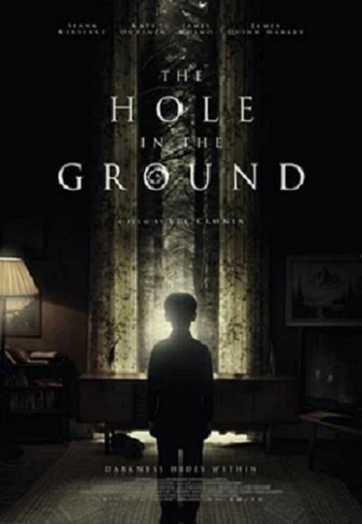 Download The Hole in the Ground (2019) Dual Audio {Hindi-English} 480p | 720p | 1080p Filmyzilla