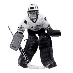 Hockey Night photo 2