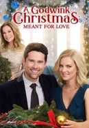 A Godwink Christmas: Meant for Love poster image