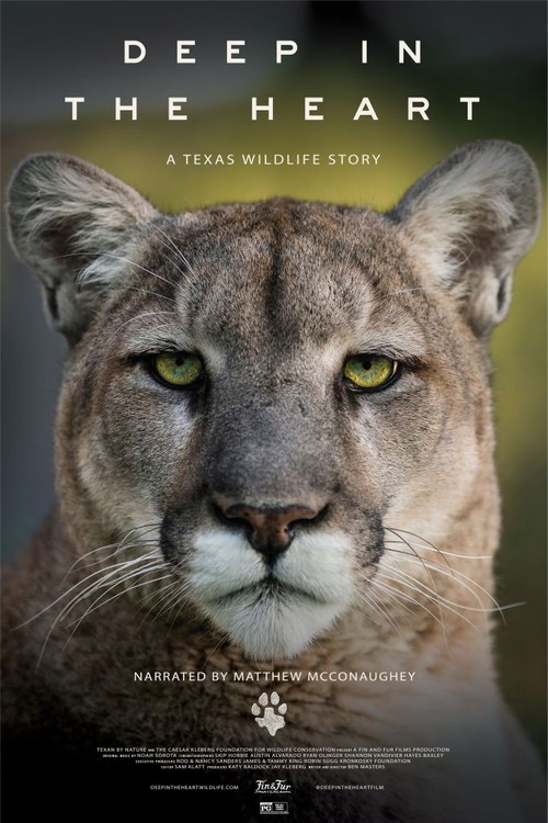 Deep in the Heart: A Texas Wildlife Story poster