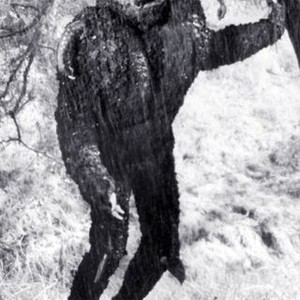 The Day the World Ended (1956) photo 7
