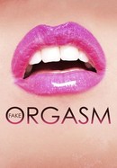 Fake Orgasm poster image