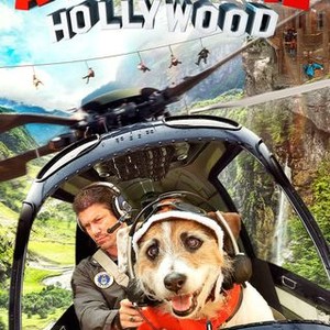 A Doggone Hollywood (2017) photo 12