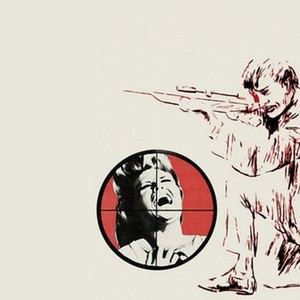 "Targets photo 1"