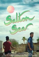 Salton Sea poster image