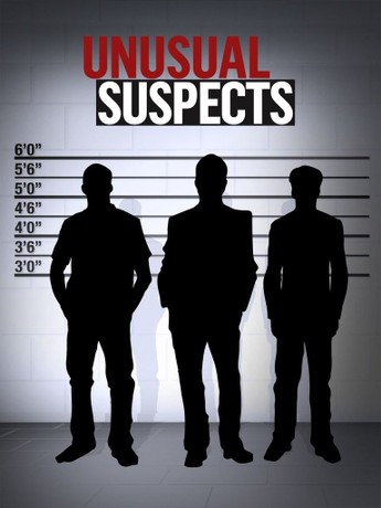 Unusual Suspects (TV Series 2010–2016) - IMDb