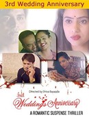 3rd Wedding Anniversary poster image