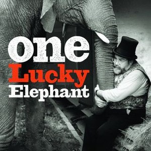 One Lucky Elephant photo 3
