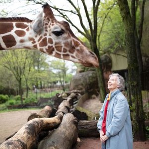 The Woman Who Loves Giraffes photo 4