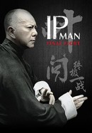Ip Man: The Final Fight poster image