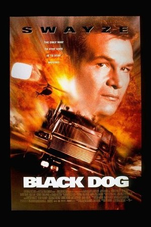 Black Dog poster