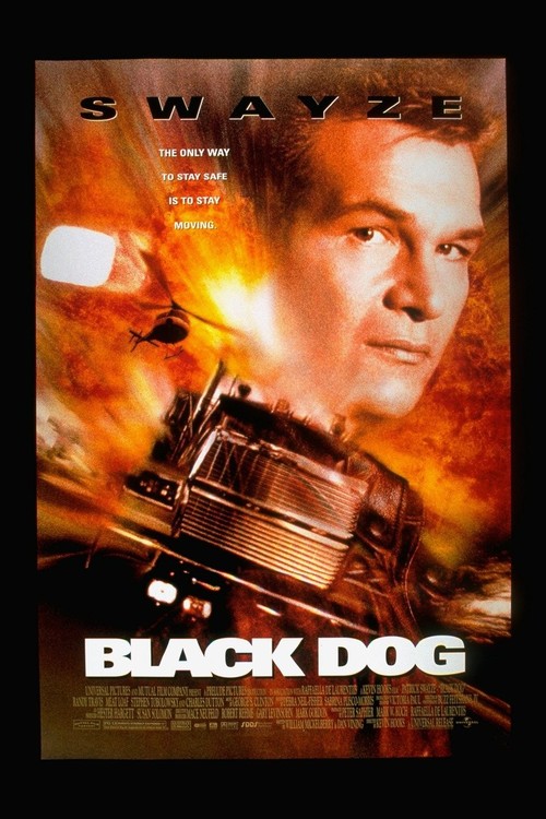 Black Dog poster