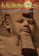 Mummies: Secrets of the Pharaohs poster image
