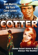 Cotter poster image