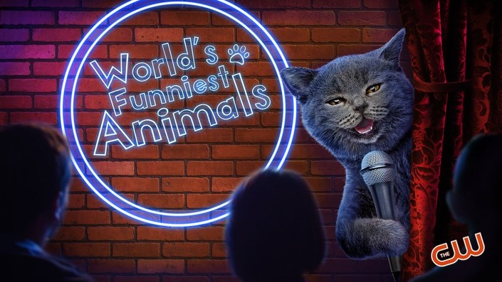 Funniest animals tv hot sale show