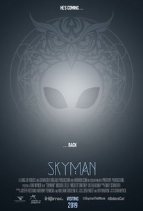 Skyman poster