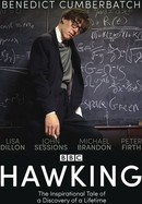 Hawking poster image