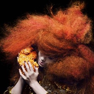Björk: Biophilia Live photo 8