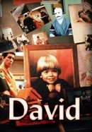 David poster image