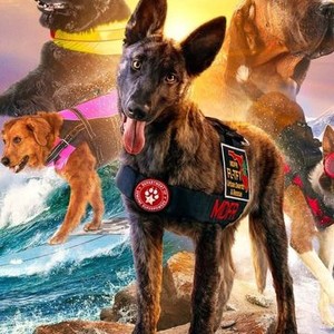 Superpower dogs watch online online