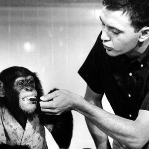 The Monkey's Uncle (1965) photo 2
