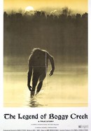 The Legend of Boggy Creek poster image