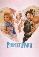 Perfect Match poster image
