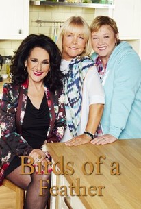 Watch trailer for Birds of a Feather