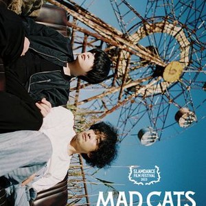 mad cats
