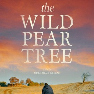 The Wild Pear Tree photo 18