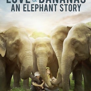 Love & Bananas: An Elephant Story photo 11