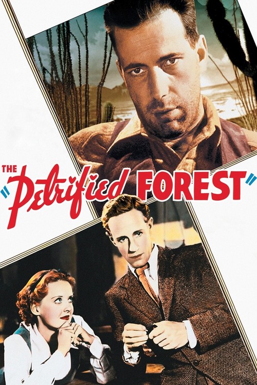 The Petrified Forest poster