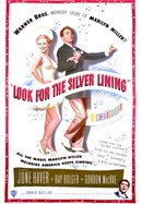 Look for the Silver Lining poster image