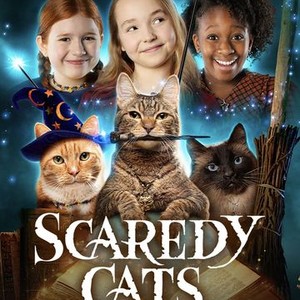 Scaredy cats | Greeting Card