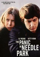 Panic in Needle Park poster image