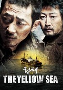 The Yellow Sea poster image