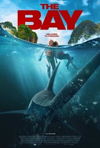 The Bay cover