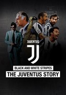 Black and White Stripes: The Juventus Story poster image