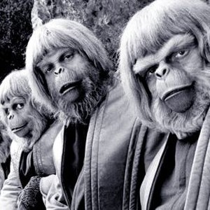 Battle for the Planet of the Apes (1973) photo 4