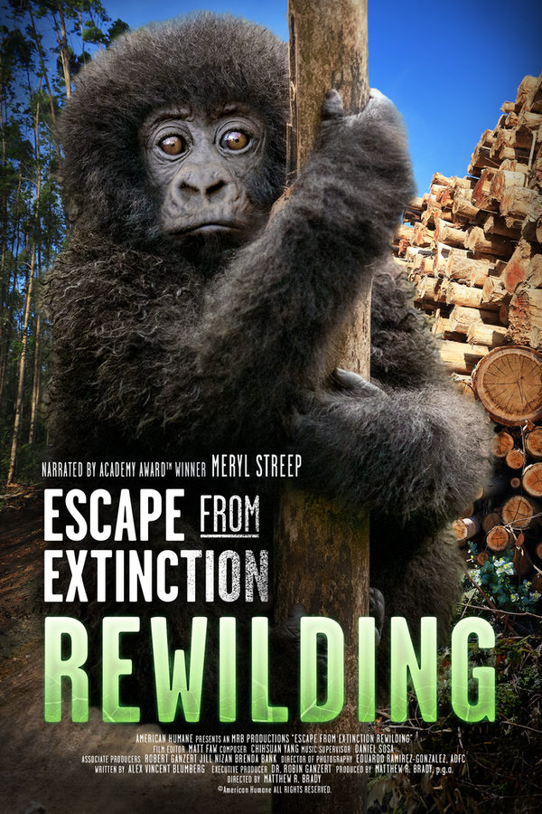 American Humane’s  second documentary, Escape from Extinction Rewilding, delves into a proven method for sustainable conservation that has the potential to bring back hundreds of thousands of species from the brink of extinction — rewilding. Narrated by Academy Award winner Meryl Streep, the film follows tireless conservation efforts of ...