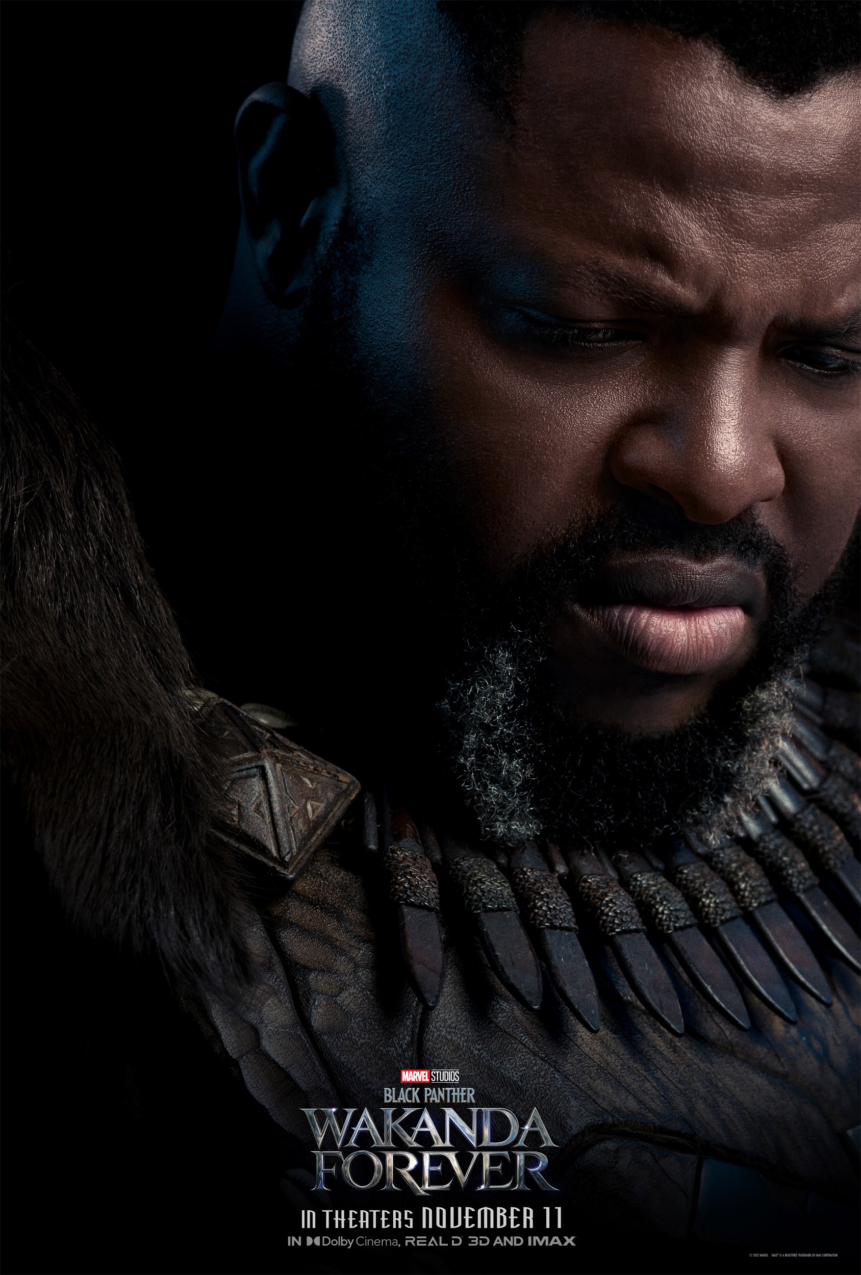 "Black Panther: Wakanda Forever photo 14"