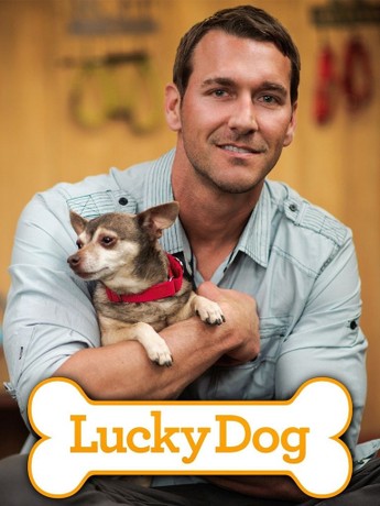 Lucky dog episodes best sale youtube